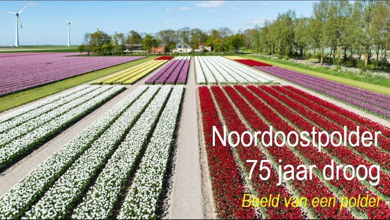 Omroep Flevoland - Nieuws - Boek Ter Ere Van 75-jarig Bestaan ...